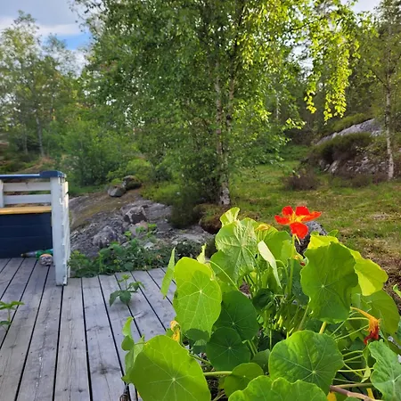 Holiday home Fjordhytte-29 *